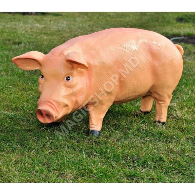 Figurina Cera Purcel